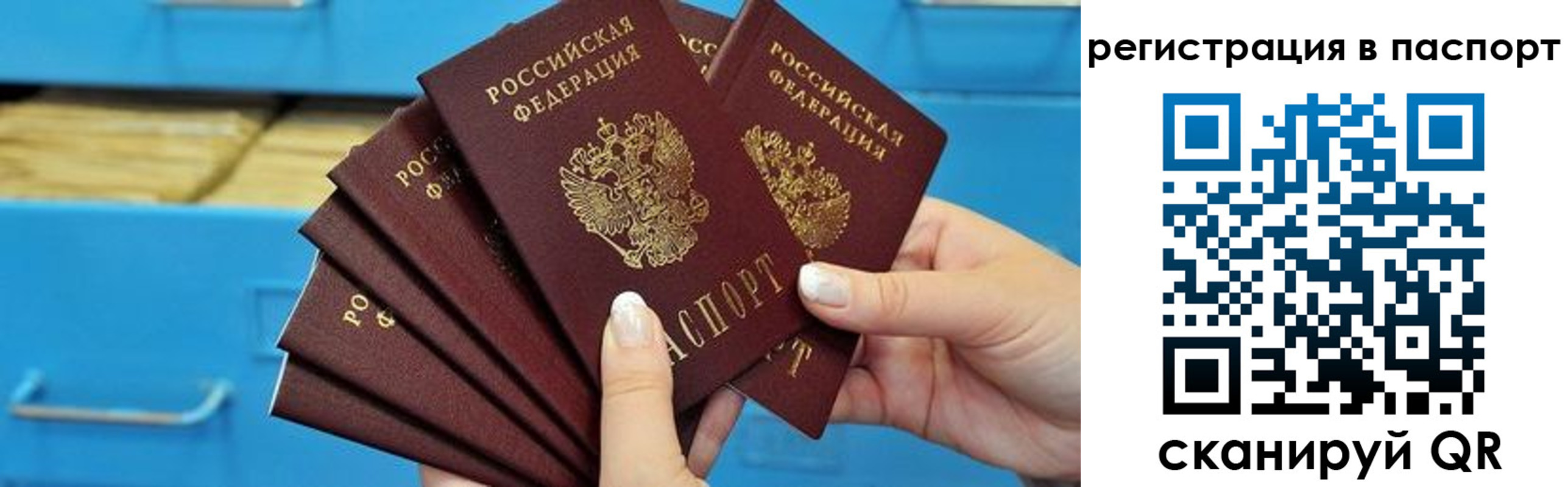 регистрация в Ярославской области